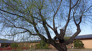 p3285277_thumb.jpg