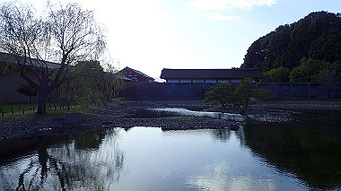 p3285284_thumb.jpg