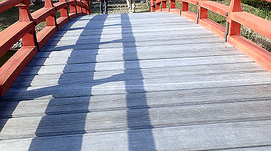 p3285288_thumb.jpg