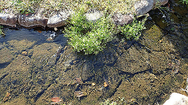 p3285293_thumb.jpg