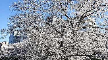 p3285307_thumb.jpg
