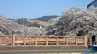p3285311_thumb.jpg
