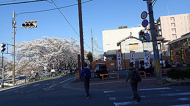 p3285313_thumb.jpg