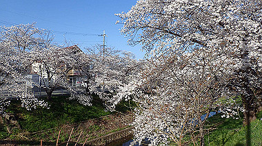 p3285314_thumb.jpg
