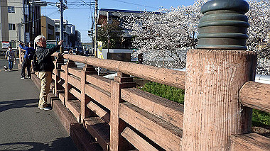 p3285315_thumb.jpg