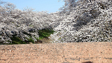 p3285318_thumb.jpg