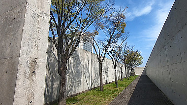gx017675.mp4_snapshot_00.38_thumb.jpg