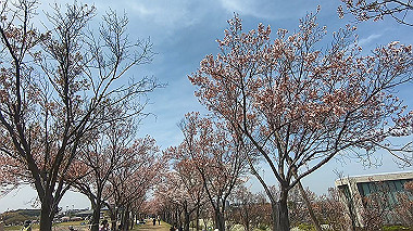gx017684.mp4_snapshot_00.08_thumb.jpg