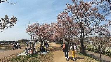 gx017684.mp4_snapshot_00.56_thumb.jpg