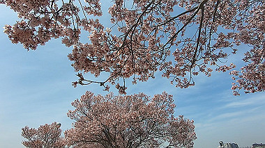 gx017684.mp4_snapshot_01.22_thumb.jpg