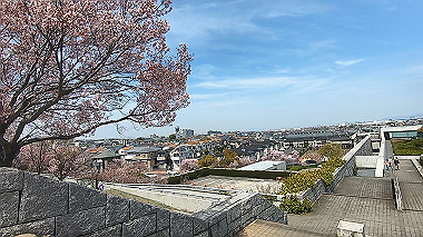 gx017684.mp4_snapshot_01.29_thumb.jpg