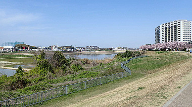 p3305334_thumb.jpg