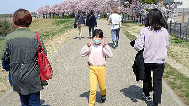 p3305336_thumb.jpg