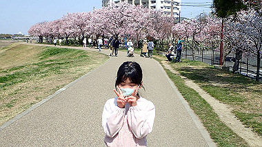 p3305337_thumb.jpg