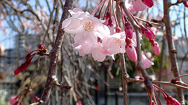 p3305341_thumb.jpg