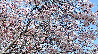 p3305348_thumb.jpg