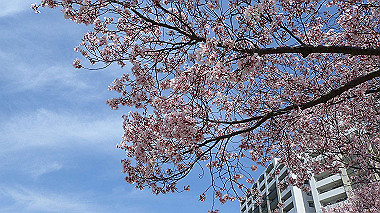 p3305350_thumb.jpg