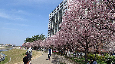 p3305351_thumb.jpg