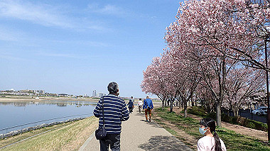 p3305353_thumb.jpg