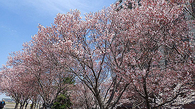 p3305354_thumb.jpg