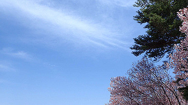 p3305356_thumb.jpg