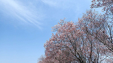 p3305357_thumb.jpg