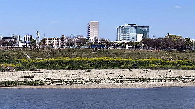 2023-04-09_13-12-50_718_thumb.jpg