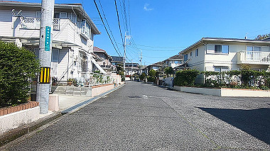 gx017686.mp4_snapshot_00.00_thumb.jpg