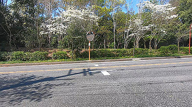 gx017686.mp4_snapshot_00.24_thumb.jpg