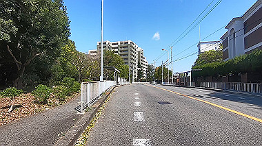gx017686.mp4_snapshot_00.33_thumb.jpg