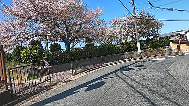 gx017689.mp4_snapshot_00.05_thumb.jpg