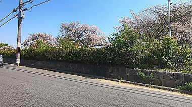 gx017689.mp4_snapshot_01.40_thumb.jpg