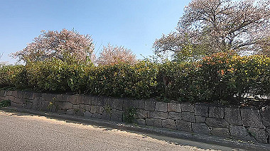 gx017689.mp4_snapshot_01.44_thumb.jpg