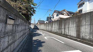gx017694.mp4_snapshot_00.01_thumb.jpg