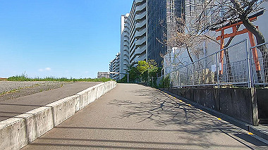 gx017694.mp4_snapshot_01.36_thumb.jpg