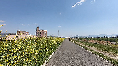 gx017702.mp4_snapshot_00.01_thumb.jpg