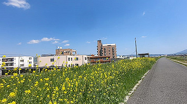 gx017702.mp4_snapshot_00.04_thumb.jpg