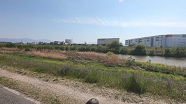 gx017702.mp4_snapshot_00.11_thumb.jpg