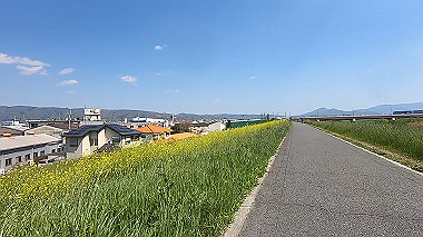 gx017702.mp4_snapshot_00.46_thumb.jpg