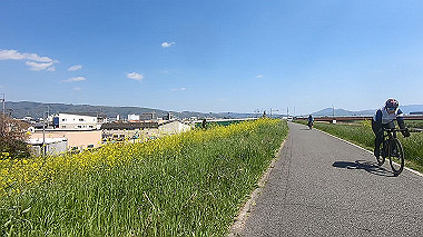 gx017702.mp4_snapshot_00.55_thumb.jpg