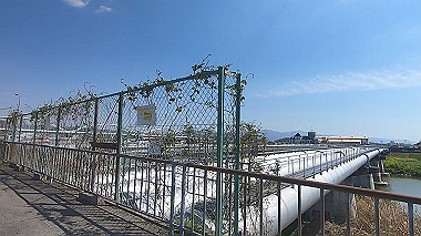 gx017704.mp4_snapshot_00.07_thumb.jpg