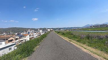 gx017705.mp4_snapshot_01.12_thumb.jpg