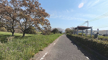 gx017726.mp4_snapshot_01.49_thumb.jpg