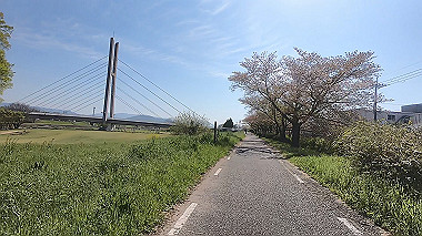 gx017727.mp4_snapshot_00.27_thumb.jpg