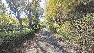 gx017734.mp4_snapshot_01.31_thumb.jpg