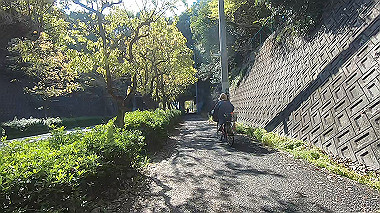 gx017734.mp4_snapshot_02.29_thumb.jpg