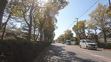 gx017734.mp4_snapshot_07.47_thumb.jpg