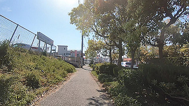 gx017734.mp4_snapshot_11.39_thumb.jpg