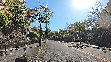 gx017737.mp4_snapshot_01.20_thumb.jpg