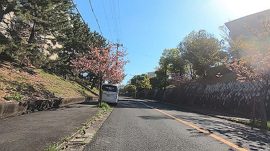 gx017737.mp4_snapshot_02.14_thumb.jpg